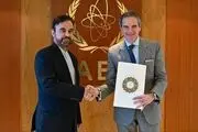 تاکید نجفی بر نقش مستقل و فنی آژانس در قبال ایران