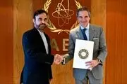 تاکید نجفی بر نقش مستقل و فنی آژانس در قبال ایران