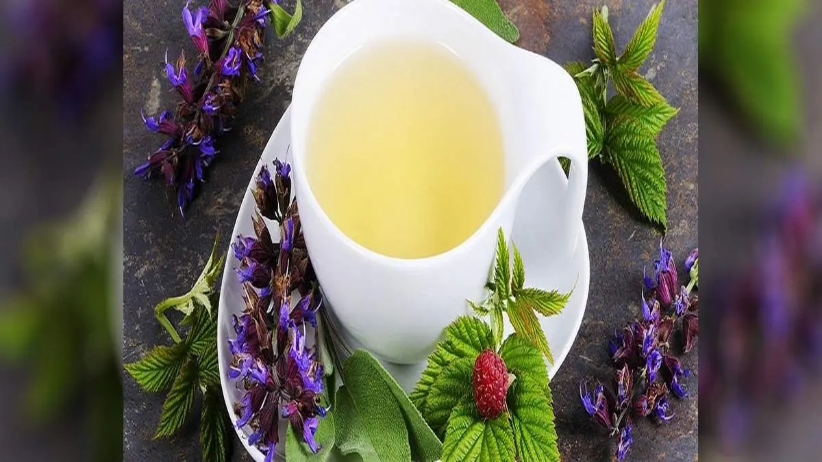 این دمنوشها در پاکسازی کلیهها حرف اول را میزنند