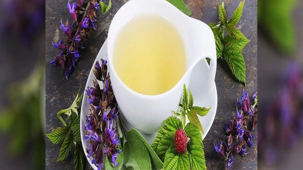 این دمنوش‌ها در پاکسازی کلیه‌ها حرف اول را می‌زنند
