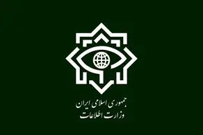 وزارت اطلاعات: عاملان تیراندازی به تجمعات مردمی در کرمان بازداشت شدند