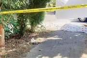 تکه تکه کردن مهناز در میان شمشادهای بهشت زهرای تهران