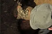 کشف گنج «قلّک‌های باستانی» با ۴۰ هزار سکه از زیر خاک/ عکس