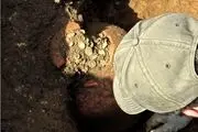 کشف گنج «قلّک‌های باستانی» با ۴۰ هزار سکه از زیر خاک/ عکس