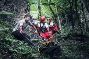 مرگ مشکوک و عجیب دختر جوان در جنگل های عباس آباد؛ قبل از مرگ برای دو نفر پیام فرستاد!