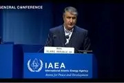 رئیس سازمان انرژی اتمی: توسعه صنعت هسته‌ای نیاز مبرم جامعه است