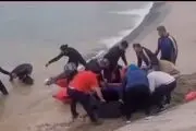 پسر ۱۴ ساله ساروی غرق شد + عکس 
