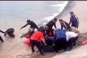 پسر ۱۴ ساله ساروی غرق شد + عکس 
