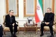 دیدار فرستادگان ویژه قزاقستان و سنگاپور با علی باقری