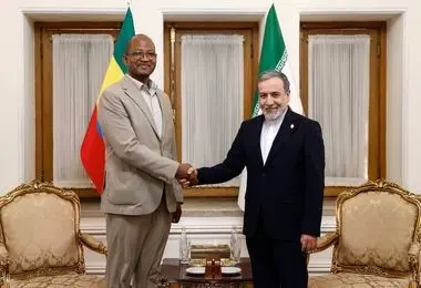 رئیس مجلس نمایندگان اتیوپی با عراقچی دیدار کرد 