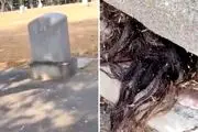 برخورد هولناک با مو‌هایی که از قبری قدیمی بیرون زده اند