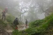 صحنه ای هولناک در مواجهه با انگشتان مرده در جنگل/ عکس