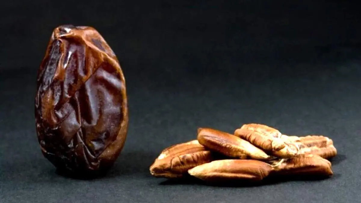 خواص عجیب و شگفت انگیز هسته خرما 