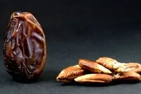 خواص عجیب و شگفت انگیز هسته خرما 