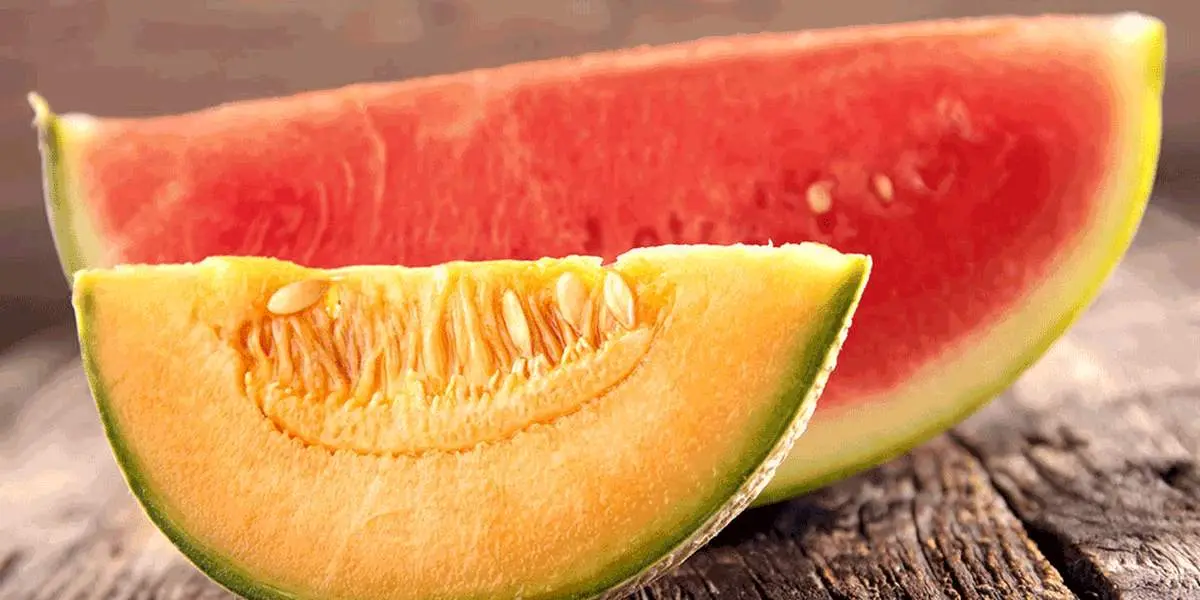 هندوانه یا خربزه؛ کدام یک را بخوریم؟