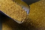 قیمت جدید طلای جهانی امروز ۲۲ اردیبهشت/ طلا دوباره زمین خورد!