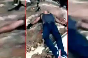 زن و شوهر قائمشهری سارق غول پیکر را کشتند!