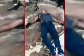 زن و شوهر قائمشهری سارق غول پیکر را کشتند!