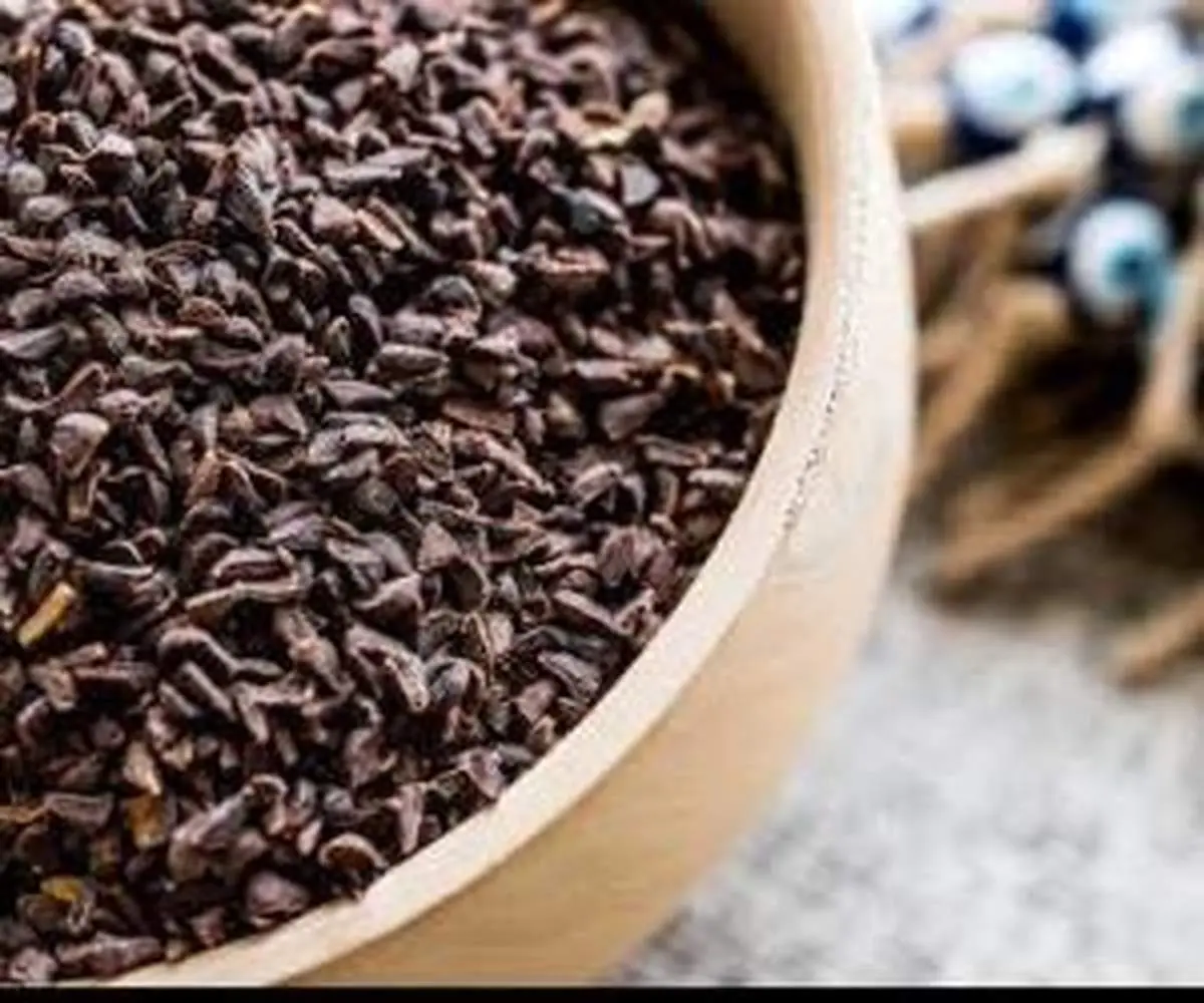 سلاح مخفی ترکمن‌ها برای مقابله با کرونا