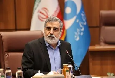صنعت هسته‌ای ایران به بلوغ کامل رسیده است