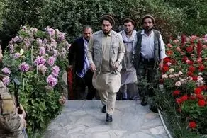پیام جدید احمد مسعود به طالبان/فقط به این شرط کناره‌گیری خواهم کرد!