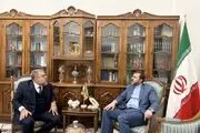 تاکید معاون وزیر خارجه بر وجود ظرفیت‌های گسترده در روابط ایران و برزیل