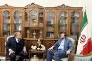 تاکید معاون وزیر خارجه بر وجود ظرفیت‌های گسترده در روابط ایران و برزیل
