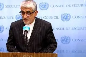 سعید ایروانی:  شورای امنیت اسرائیل را مجبور به توقف تجاوزات کند
