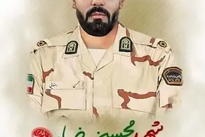 عامل شهادت محسن رضایی دستگیر شد
