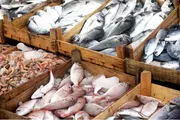افزایش قیمت ماهی در میادین میوه و تره بار تهران
