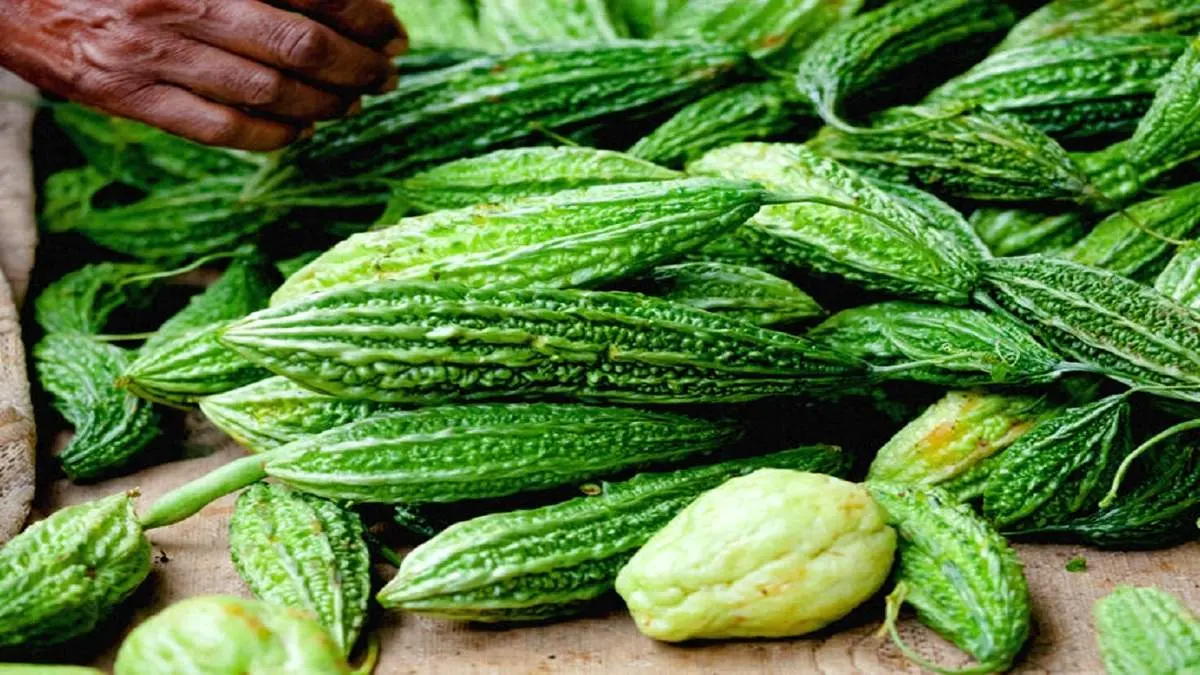 این میوه تلخ برای دیابتیها بسیار مفید است
