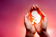 این غذا‌ها باعث سقط جنین می‌شود