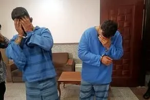 سرقت های سریالی ۲۰۶ برای تفریح و هیجان