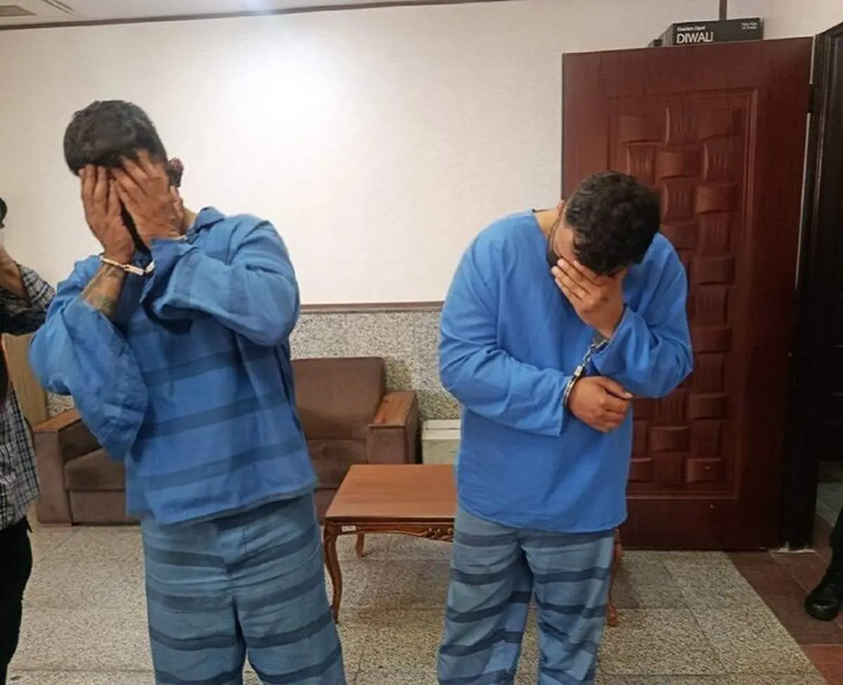 سرقت های سریالی ۲۰۶ برای تفریح و هیجان