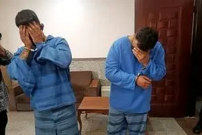 سرقت های سریالی ۲۰۶ برای تفریح و هیجان