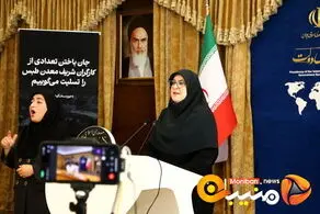 سخنگوی دولت: به دنبال فرصت به زنان برای شبکه‌سازی آنان هستیم