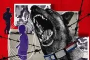 این سگ‌ها در جنگ مشارکت دارند + جزییات 