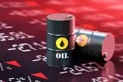 ادعا عجیب رویترز درباره میزان واردات نفت چین از ایران