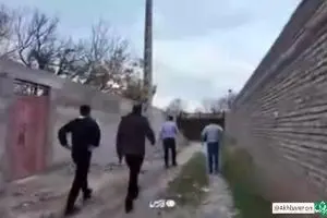 لحظه دستگیری زورگیران پارک‌وی/ببینید