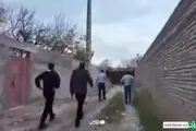 لحظه دستگیری زورگیران پارک‌وی/ببینید