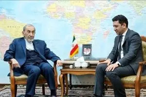 ولایتی: ایران با طرح موسوم به «ترامپ» درباره قفقاز کاملاً مخالف است