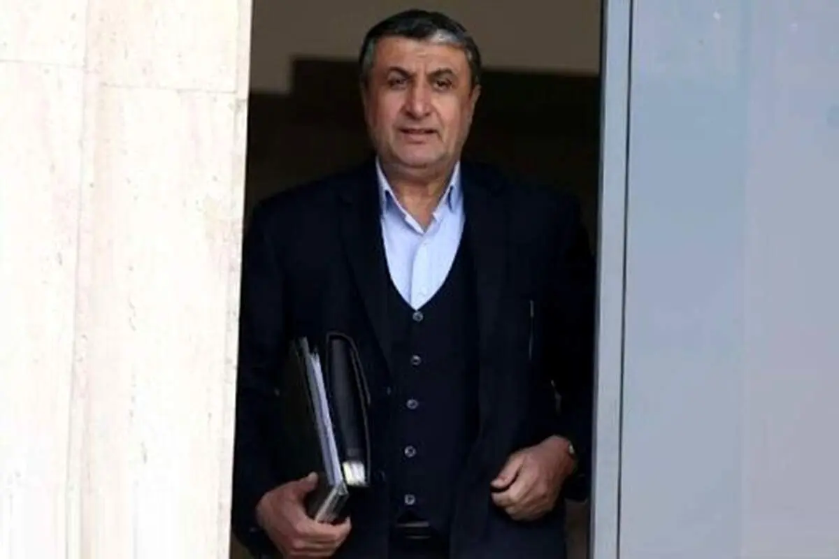 رئیس سازمان انرژی اتمی راهی وین شد 