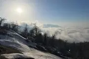 گزارش تصویری| طبیعت زیبای جنگل اولنگ در آغاز بهار