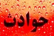 دختر رزمی کار تهرانی حال راننده شیطان صفت را جا آورد!
