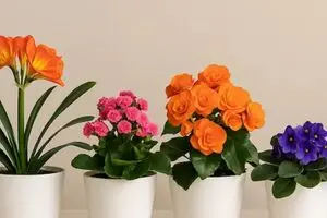 ۷ ترفند خانگی برای تازه نگه داشتن گل‌های طبیعی در خانه