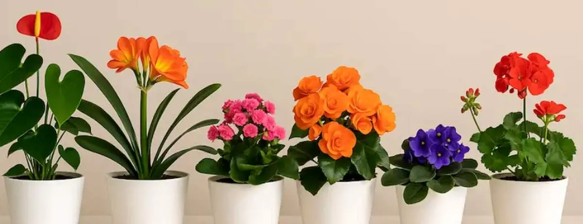 ۷ ترفند خانگی برای تازه نگه داشتن گل‌های طبیعی در خانه