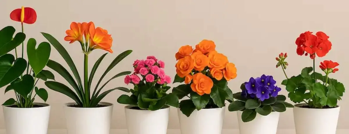۷ ترفند خانگی برای تازه نگه داشتن گل‌های طبیعی در خانه