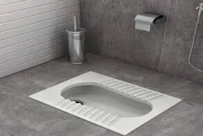 اقدام ناجور و شرم آور پدر ایرانی در توالت خانه اش حماسه آفرید/ عکس