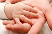 خبر خوش، واگذاری زمین رایگان فرزندآوری/ جزئیات
