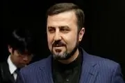توقف قطعنامه حاصل رایزنی های ایران و هشیاری شورای حکام است
